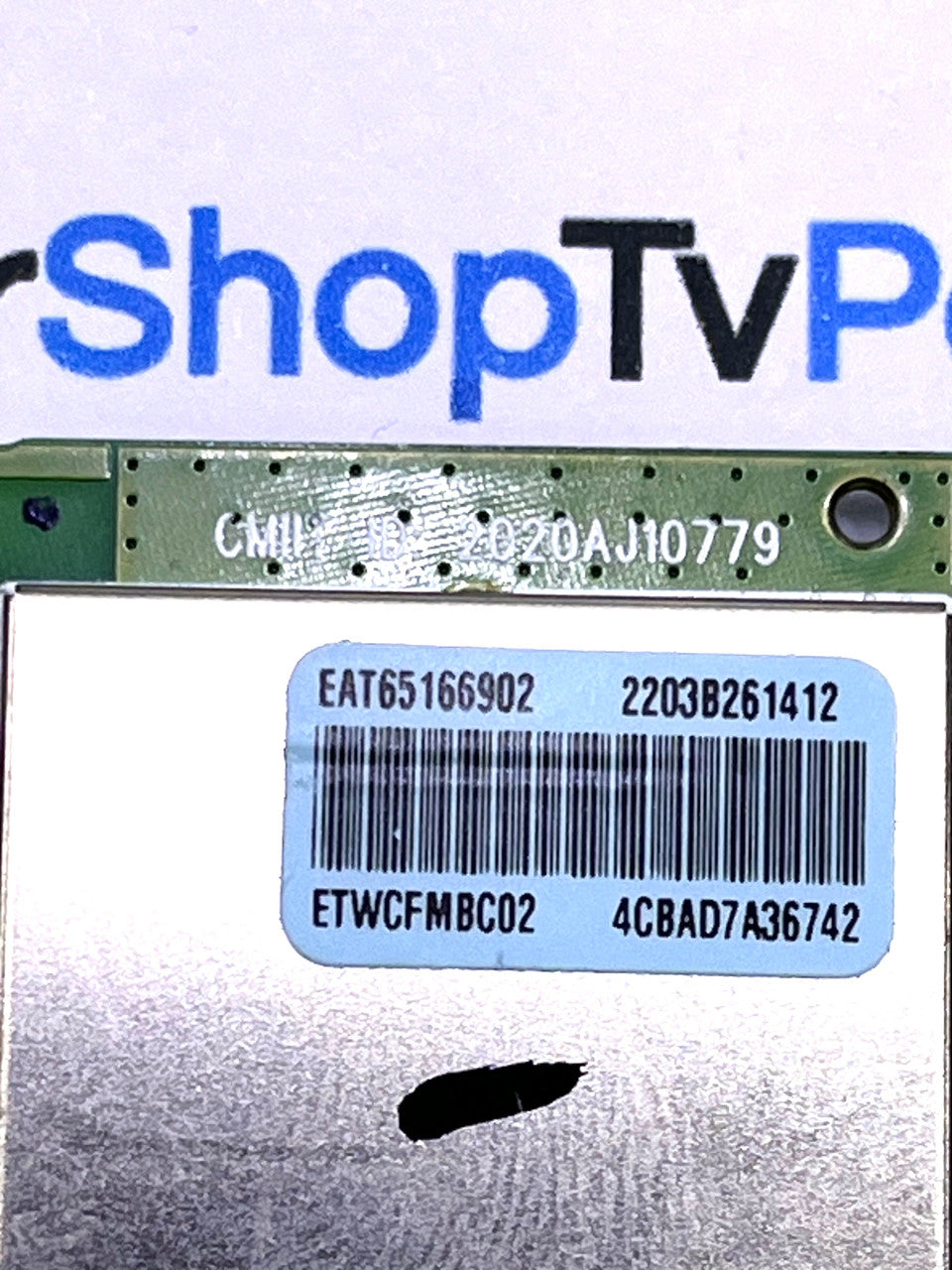 EAT65166902